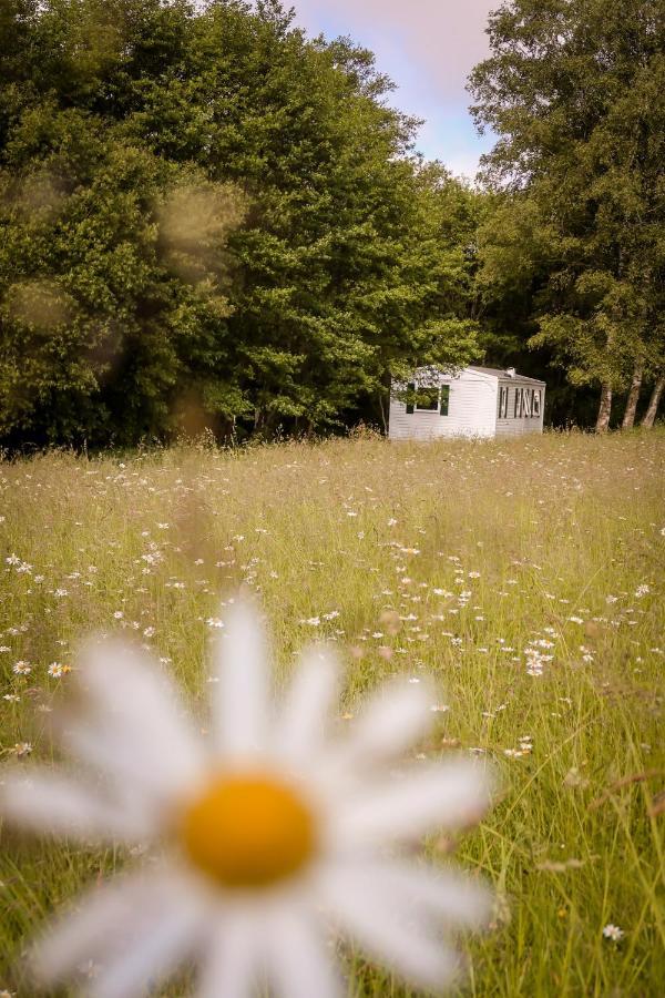 Mini-Glamping En Auvergne Villa Sainte-Christine  Esterno foto